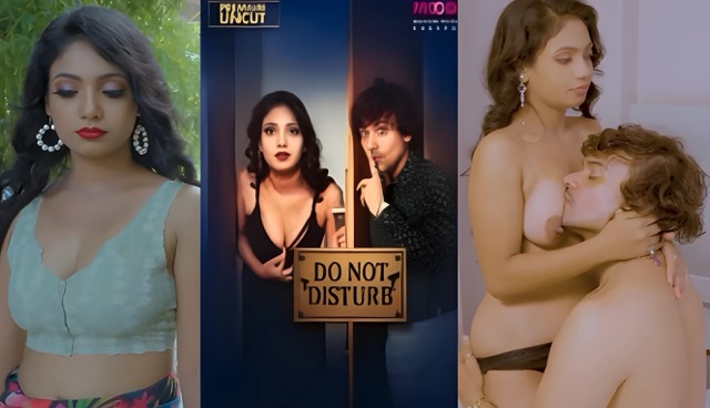 Do Not Disturb E1 2025 Uncut Hindi Web Series – MoodX